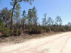 Plot For Sale In Williston, Florida