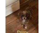 Penny