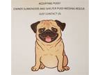 Adopt Accepting pugs into foster care a Tan/Yellow/Fawn Pug / Mixed dog in