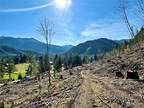 Plot For Sale In Mineral, Washington