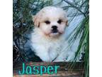 Jasper