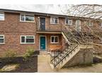 Broomgrove Road, Sheffield S10 2 bed flat to rent - £1,000 pcm (£231 pw)