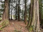 Plot For Sale In Sedro Woolley, Washington