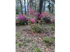 Plot For Sale In Yemassee, South Carolina