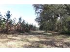 Mcalpin, Suwannee County, FL Farms and Ranches for sale Property ID: 417154112