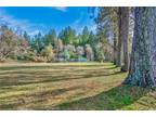 Home For Sale In Cobb, California