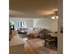 Rental listing in Westwood, West Los Angeles. Contact the landlord or property