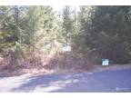 Plot For Sale In Packwood, Washington