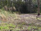 Plot For Sale In Andrews, South Carolina