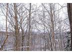 Plot For Sale In Ludlow, Vermont