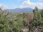 Plot For Sale In Sandia Park, New Mexico