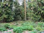 Plot For Sale In Sequim, Washington