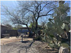 1323 E Allen Road B Tucson, AZ