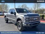 2024 Ford F-250 Platinum