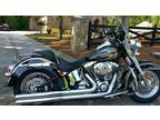 2006 HarleyDavidson Softail