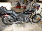 2007 Hd Custom Softail