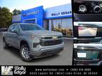 2024 Chevrolet Silverado 1500 LT 2FL