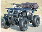 Utility Quad/ATV—Automatic: (Coolster 2015 3150DX)