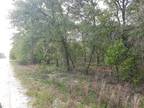 Plot For Sale In Dunnellon, Florida