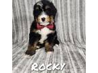 Rocky Mini