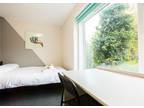 6 bed accommodation in Brighton - Pads for Students