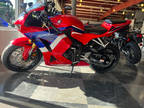 2024 Honda CBR600RR