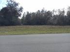 Ocala, Marion County, FL Undeveloped Land, Homesites for sale Property ID:
