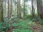 Plot For Sale In Sequim, Washington