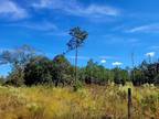 Bronson, Levy County, FL Undeveloped Land, Homesites for sale Property ID:
