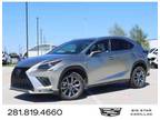 2021 Lexus NX 300 F SPORT