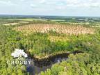 Blackville, Barnwell County, SC Recreational Property, Hunting Property for sale