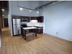 125 E 21st St unit 411 - Chicago, IL 60616 - Home For Rent