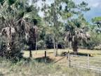 Palm Beach Gardens, Palm Beach County, FL Undeveloped Land for sale Property ID: