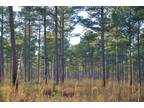 Plantersville, Georgetown County, SC Recreational Property, Undeveloped Land