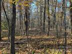 Mill Spring, Polk County, NC Undeveloped Land for sale Property ID: 418212257