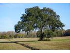 Wadmalaw Island, Charleston County, SC Undeveloped Land for sale Property ID: