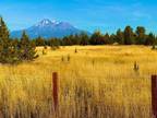 Montague, Siskiyou County, CA Undeveloped Land for sale Property ID: 418718715