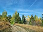 Lot for sale in Buckhorn, Prince George, PG Rural South, 6510 Courval Road