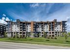 City Vibe - Calgary Pet Friendly Apartment For Rent Kincora LUXURY APARTMENTS IN