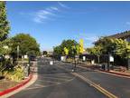 Villa Amador Apartments - 2101 Sand Creek Rd - Brentwood, CA Apartments for Rent