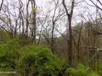 Plot For Sale In Newport, Tennessee