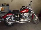 $7,000 2006 Harley Davidson Sportster XL 1200 Custom ( ONLY 333 MILES! )