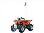 Brand New 2012 Arctic Cat DVX 300 ATV - Orange