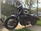 2010 Harley-Davidson Iron 883 - less than 5k Miles $5000 OBO!