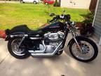 2004 Harley Davidson 883 Sportster XL Custom