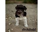 Archibald