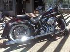 2005 Harley Davidson Softail Springer in Chimayo, NM