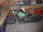 2008 Hardknocks Kikker Bobber