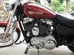 sdr 2009 HARLEY DAVIDSON XL 1200C SPORTSTER CUSTOM EXCELLENT CONDITION LOADED RE