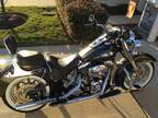 2005 Harley softail custom deluxe MINT!!!